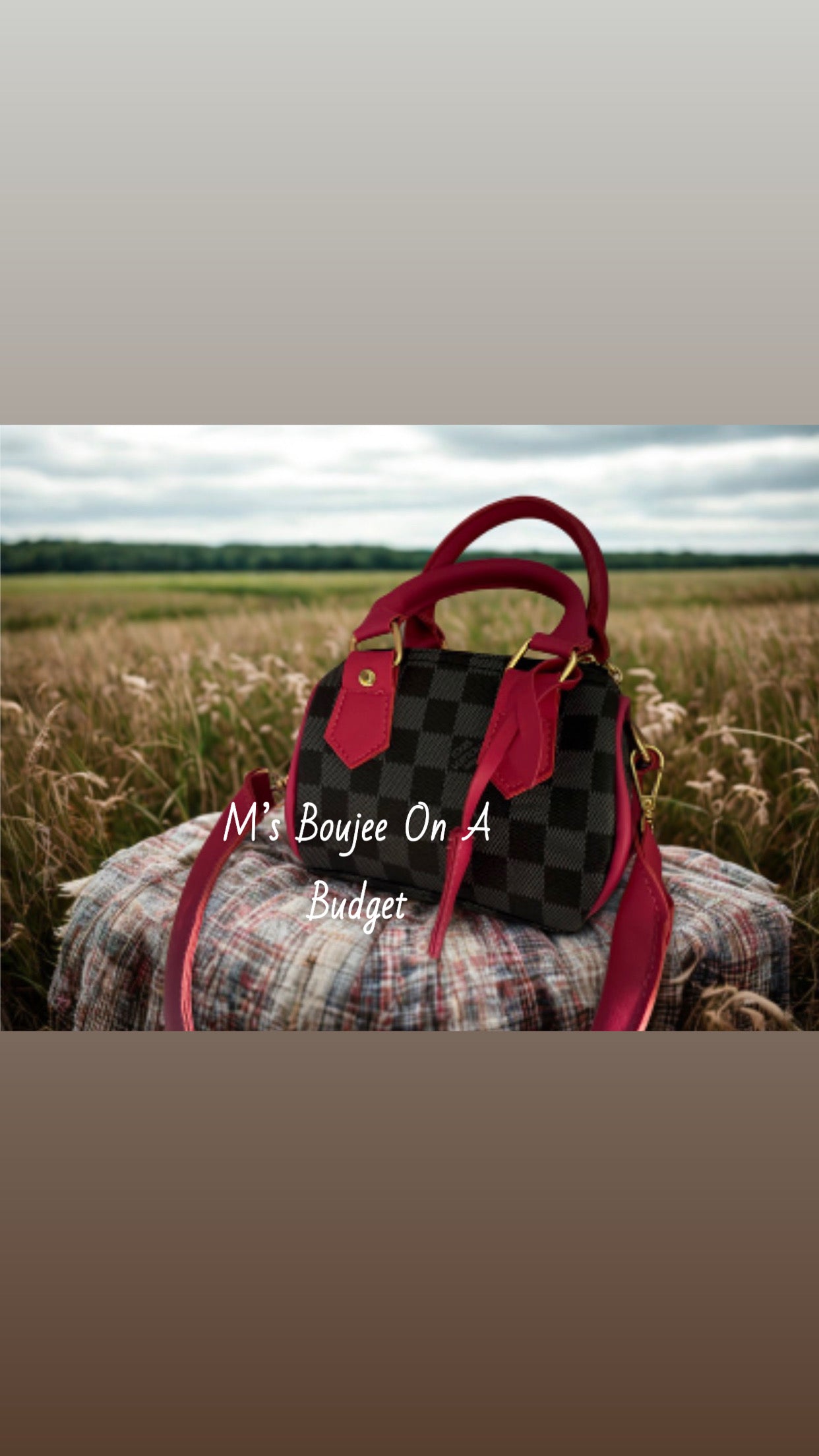 Mini Me Custom Pink and Black Speedy