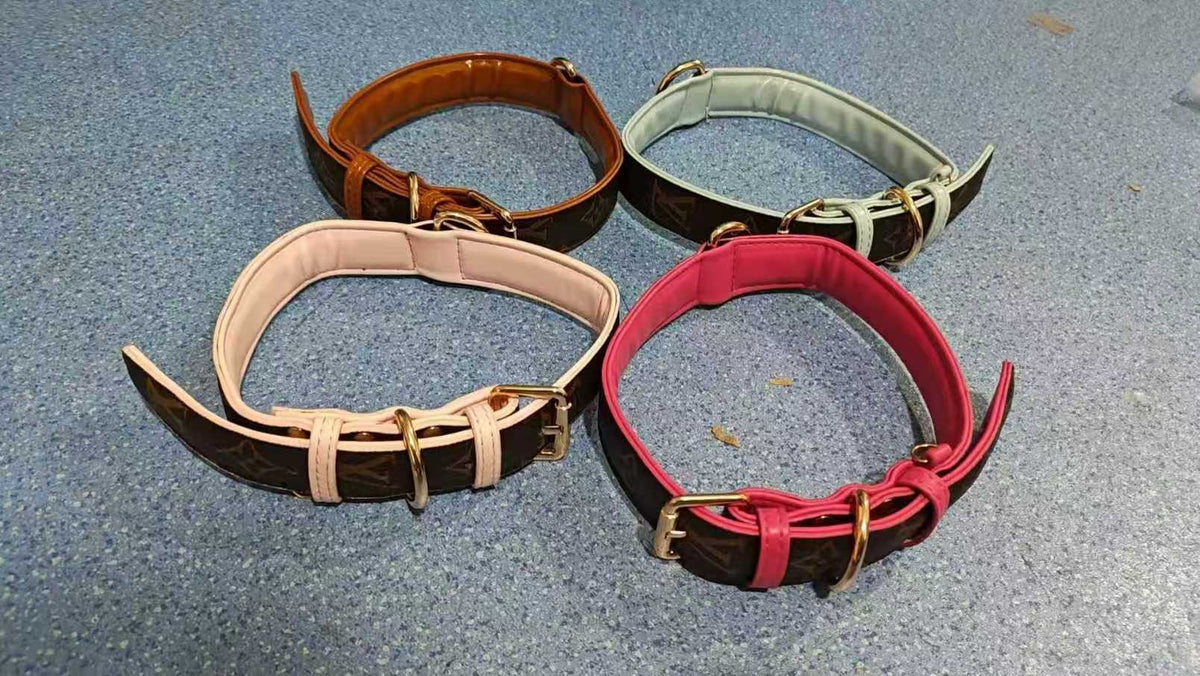 Dog Collars